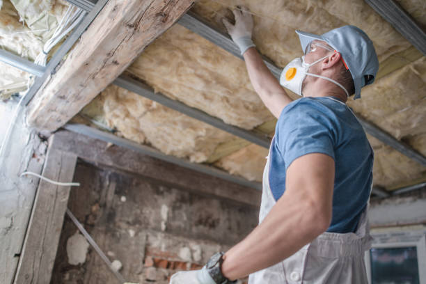 Best Affordable Insulation Services  in Oronogo, MO