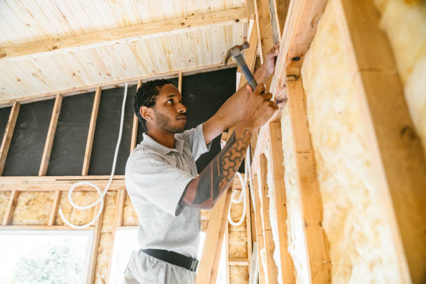 Best Insulation Removal  in Oronogo, MO