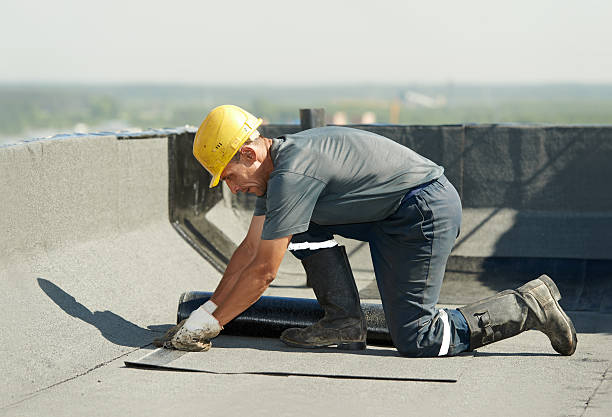 Best Insulation Replacement Services  in Oronogo, MO