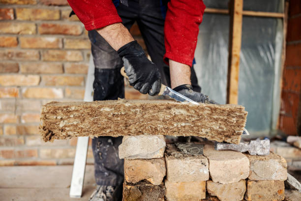 Best Attic Insulation Installation  in Oronogo, MO