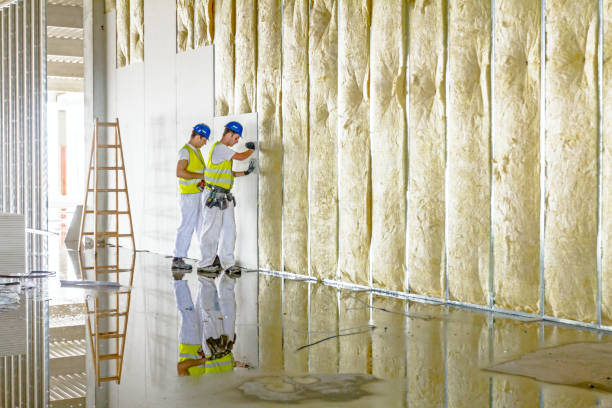 Best Insulation for Commercial Buildings  in Oronogo, MO